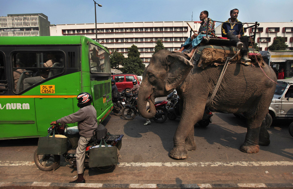 Indian Chronicles. It's different here. - The medicine, India, Longpost