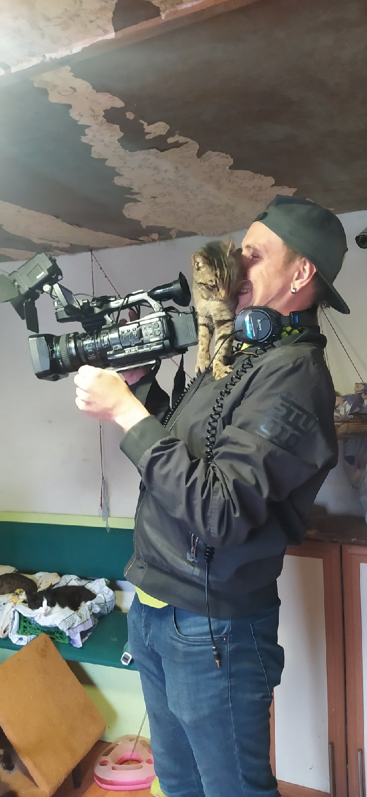 Attack on the film crew - My, cat, Animal shelter, Filming, Reportage, Sevastopol, Video, Vertical video, Longpost