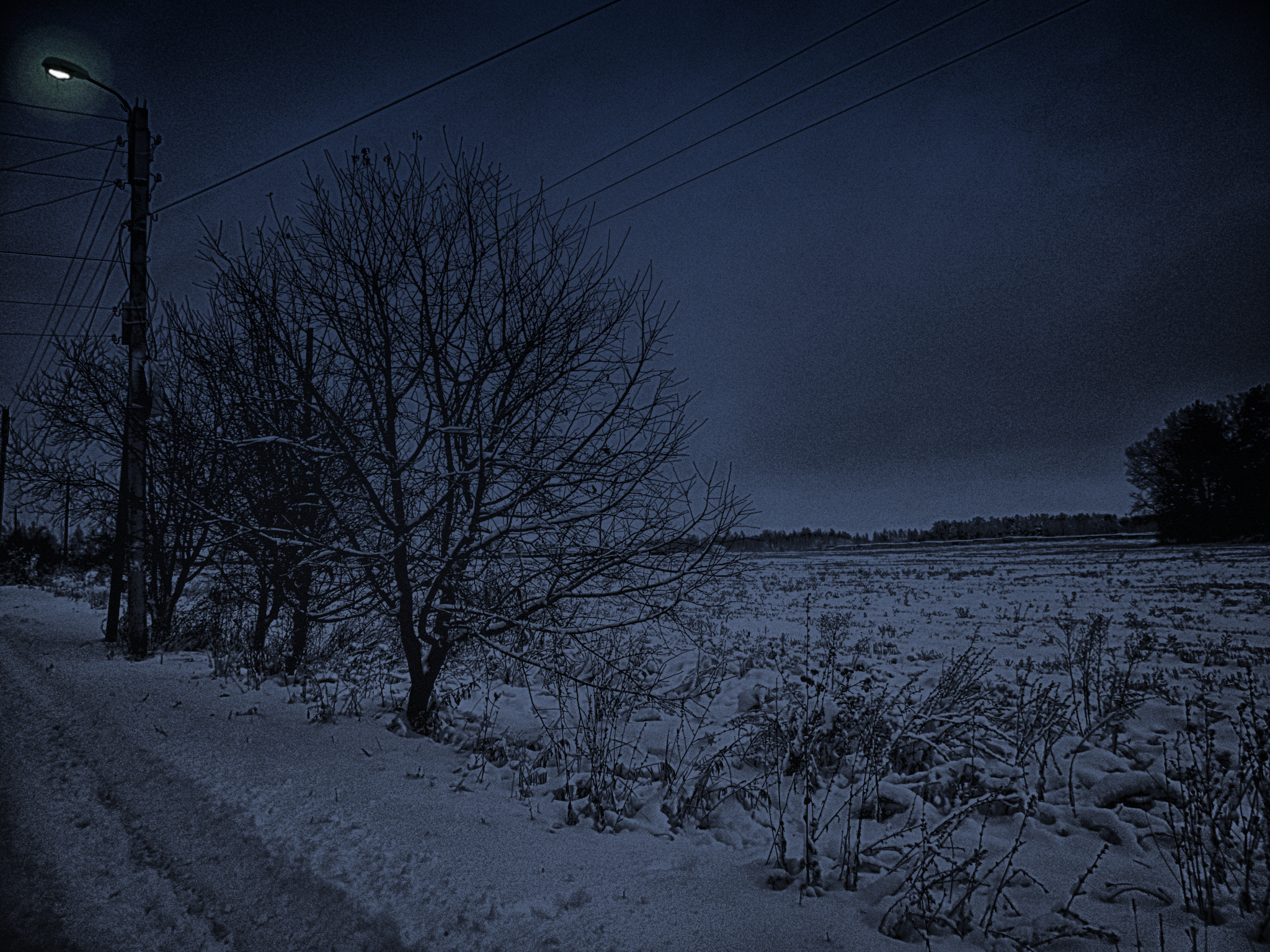 Landscape from the outskirts of Novozybkov, Bryansk region, Russian Federation - My, Landscape, The photo, Photoshop, Russia, Bryansk region, Novozybkov