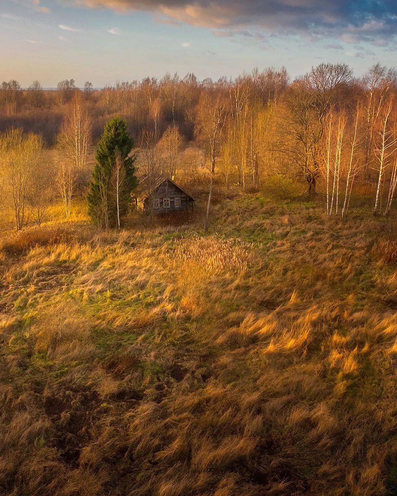 Новгородская область, Куяны - Фотография, Деревня, Новгородская область