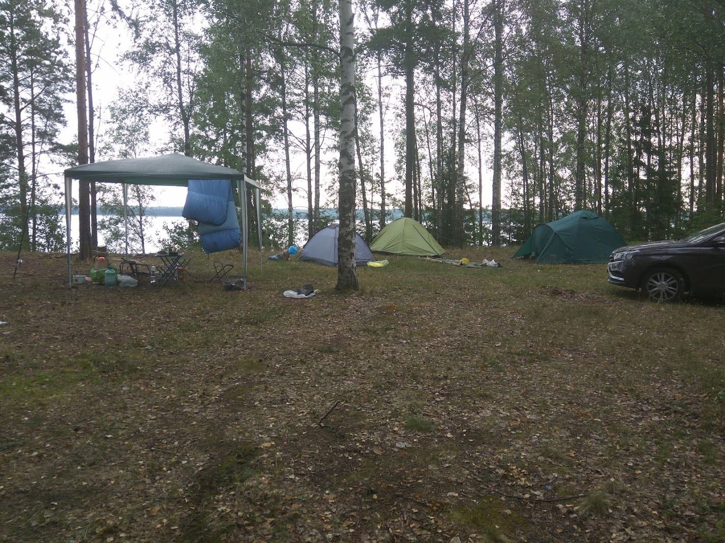 На волне палаток - Моё, Волна постов, Доброе утро, Палатка, Поход