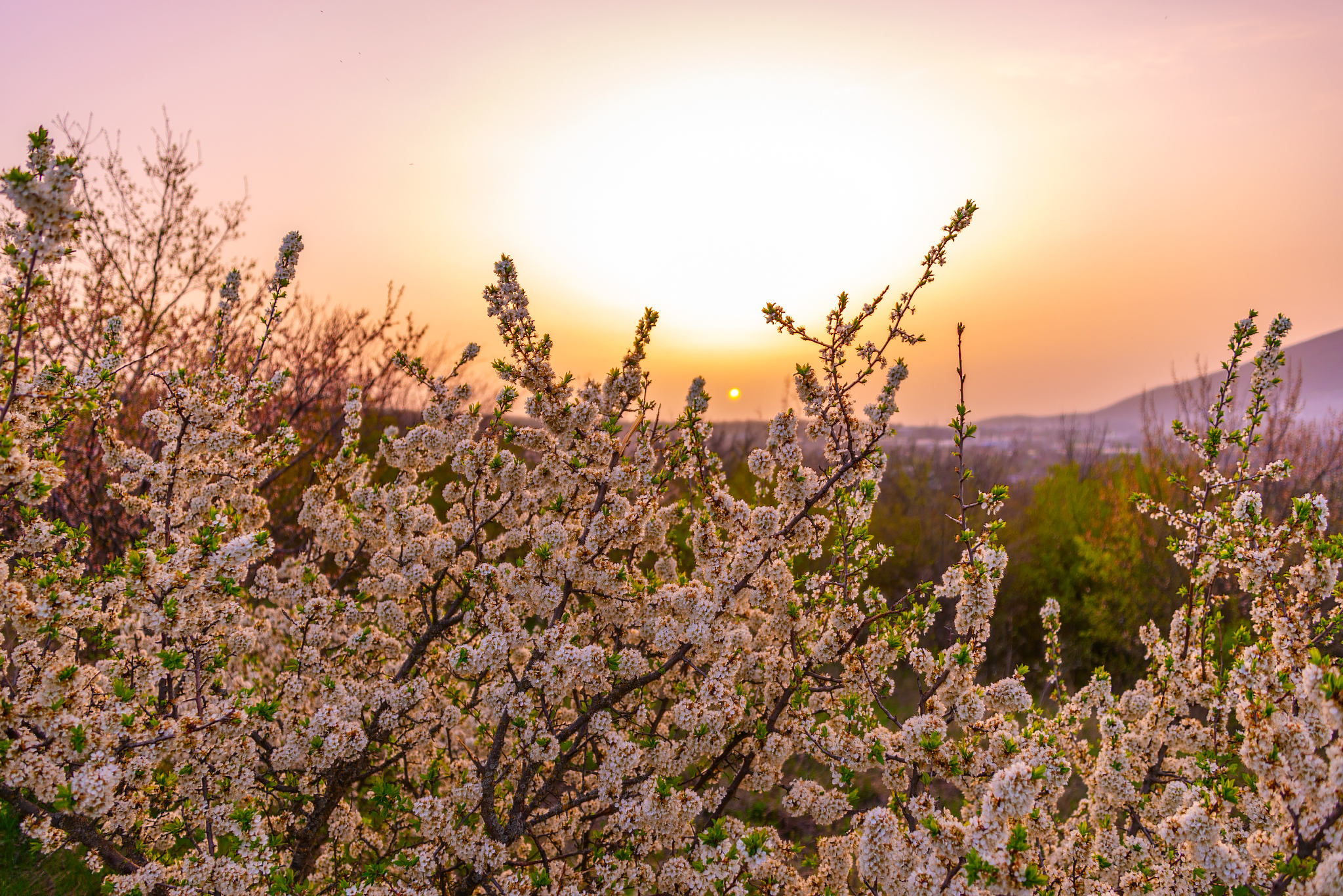 April Dawn - My, Landscape, Beshtau, Nature, The photo, Caucasian Mineral Waters, dawn, April, Longpost