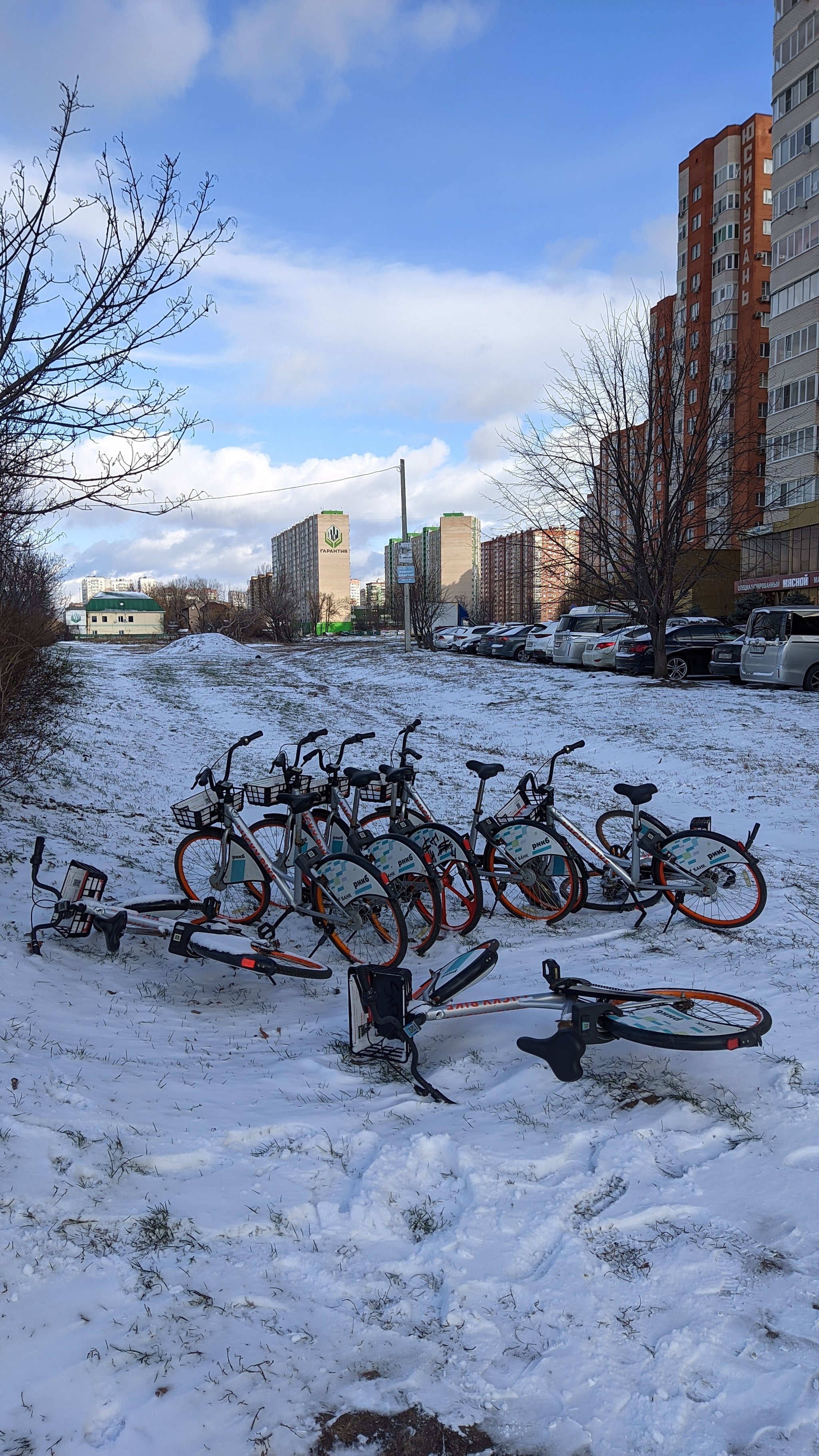 Happy Bike Day! - My, A bike, Cyclist, The photo, Краснодарский Край, Longpost