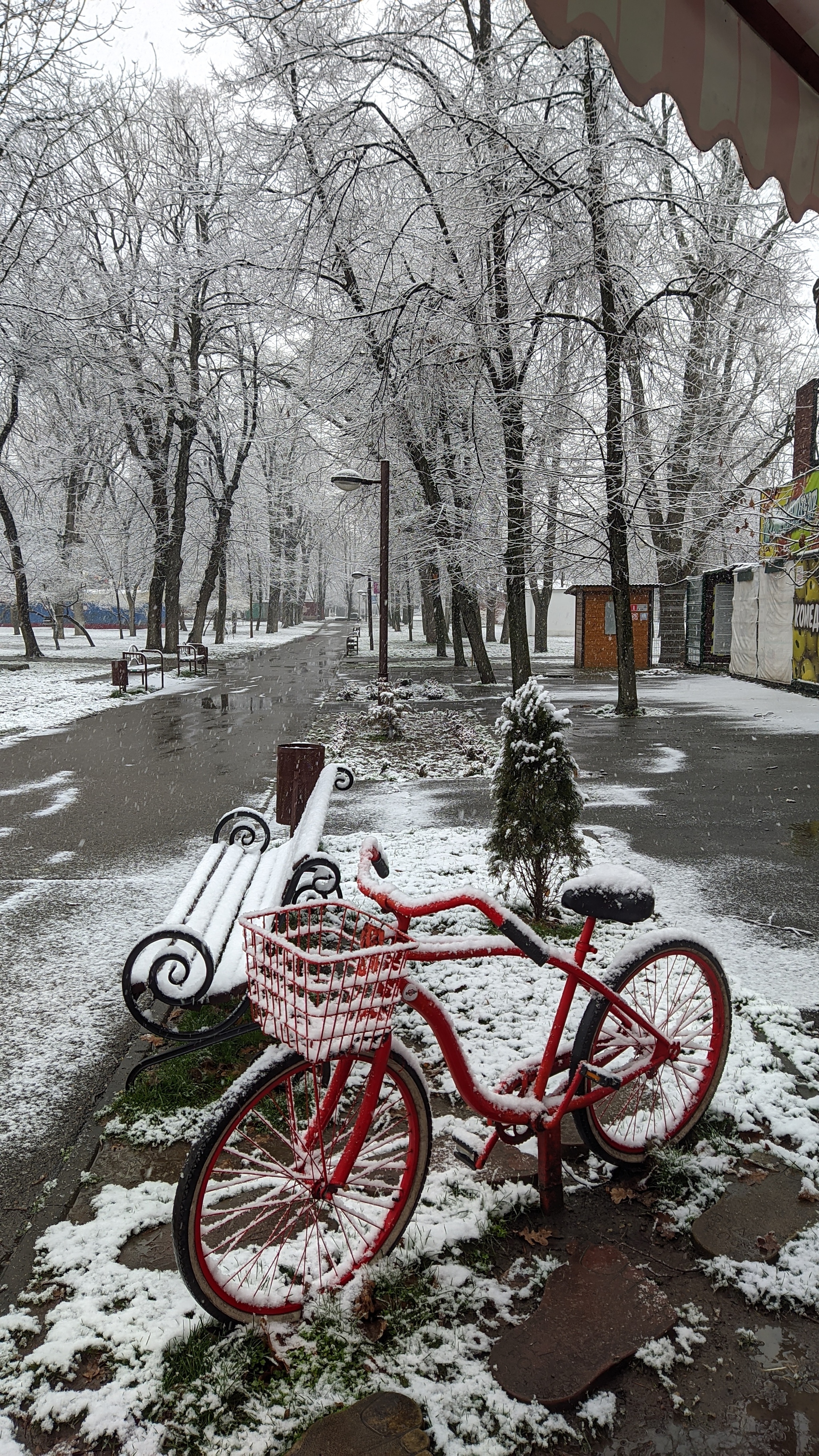 Happy Bike Day! - My, A bike, Cyclist, The photo, Краснодарский Край, Longpost