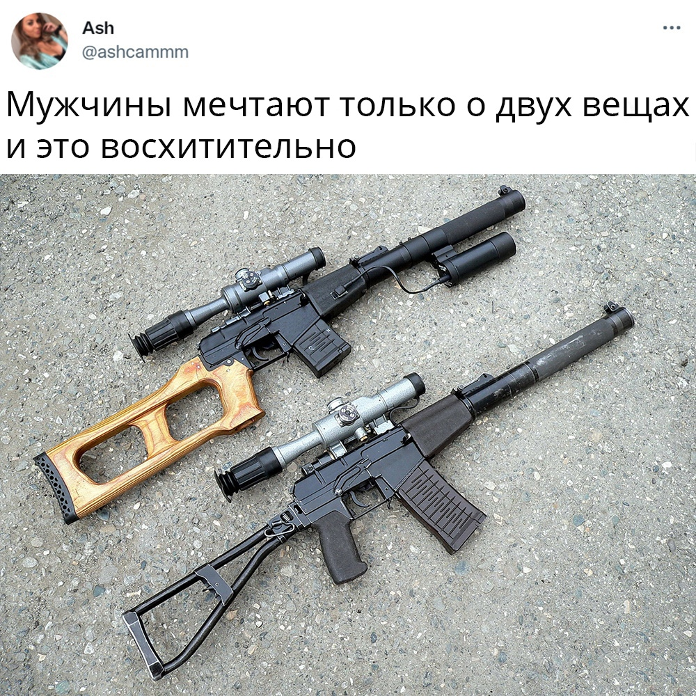 Delightfully - Weapon, Humor, Picture with text, VSS Vintorez, As Val, Rifle, Machine