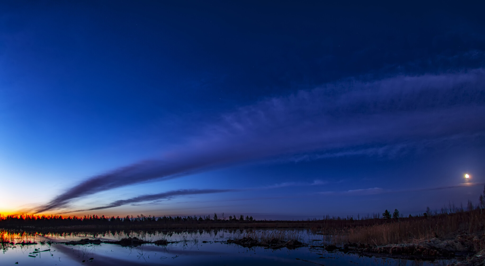 Early morning - My, Morning, Landscape, Canon, Canon 650d, Sigma, moon, Sunrise, Glow, Sky, Career, Nature, Forest, The photo