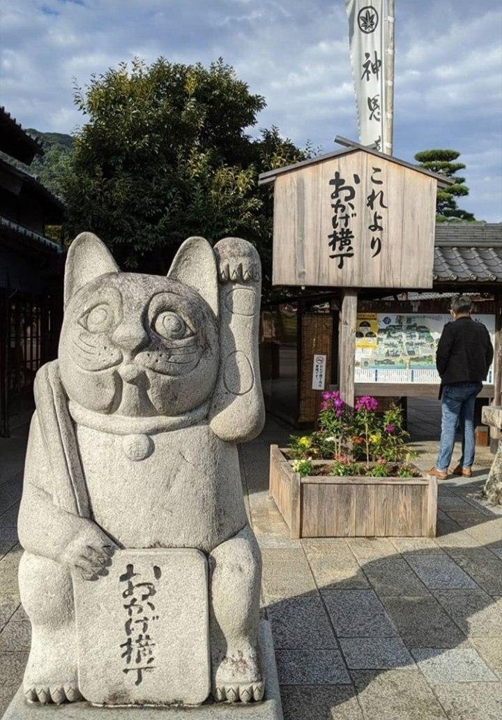 Check your watch - Japan, Monument, Clock, cat