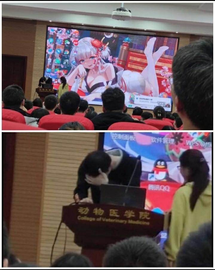 You can immediately see a person with education - Anime, Desktop, The conference, Azur lane, Shoukaku