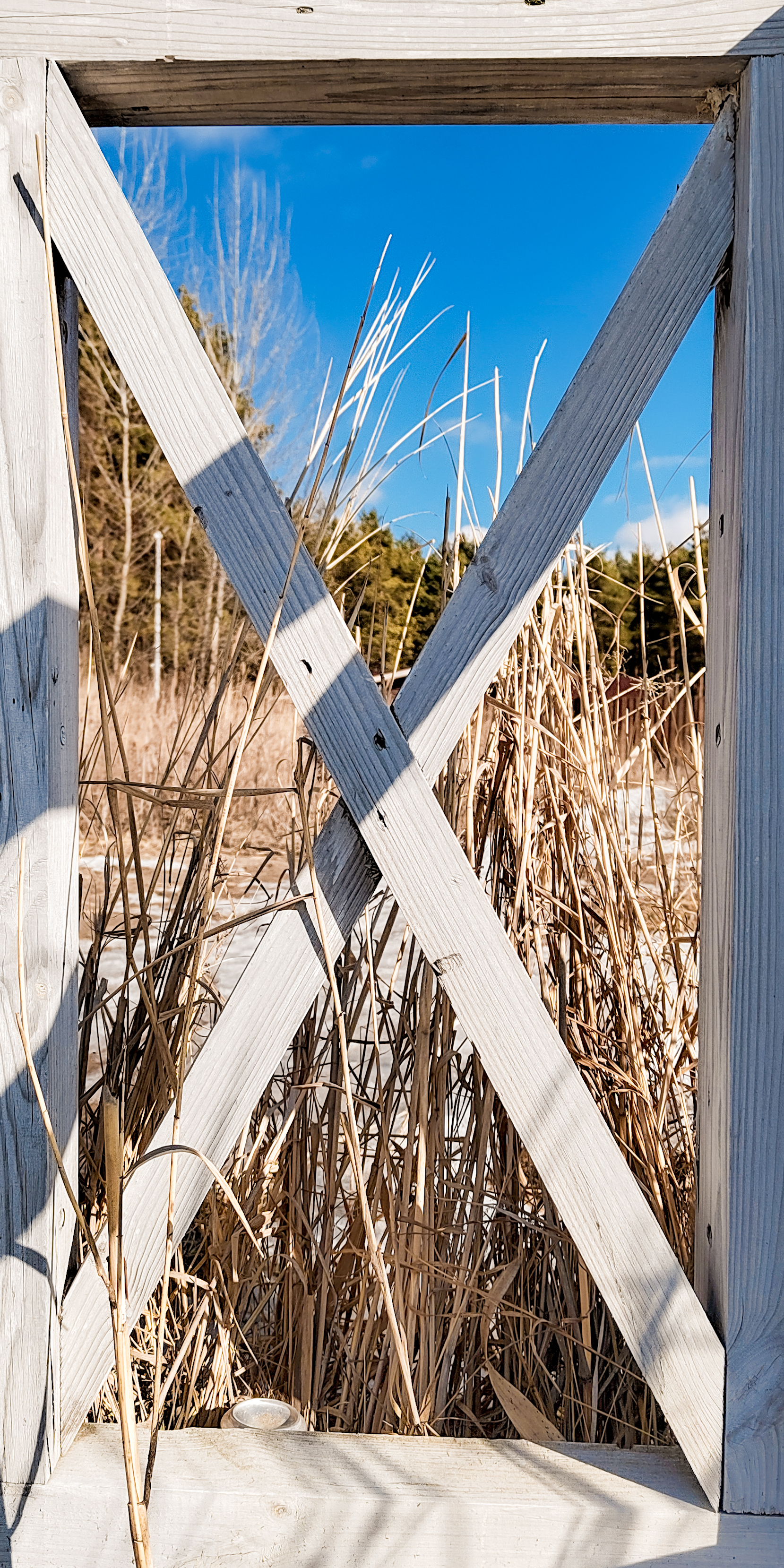 Walk behind Belgorod. 21.02.2022 - My, Belgorod, Nature, Longpost, The photo