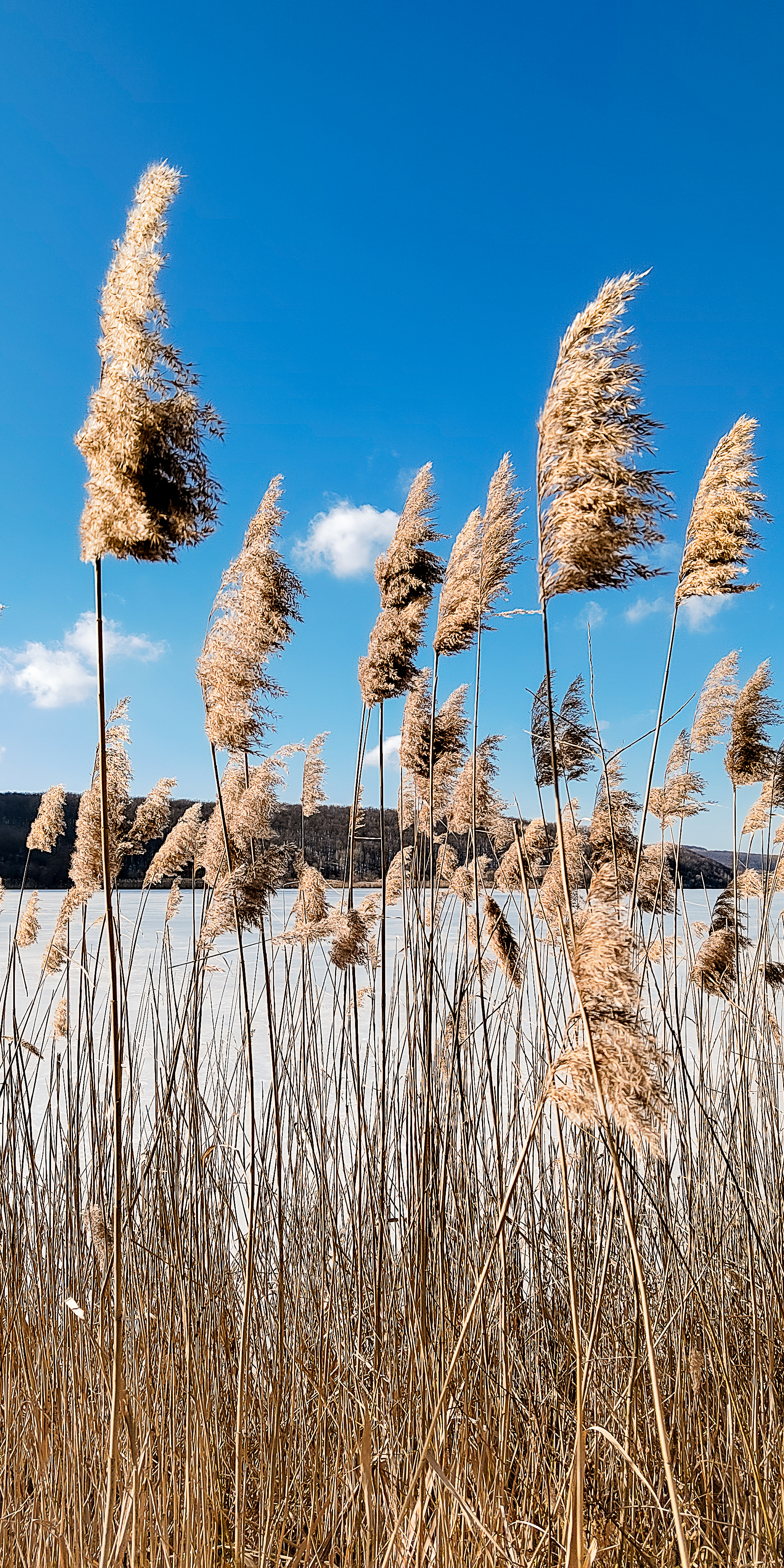 Walk behind Belgorod. 21.02.2022 - My, Belgorod, Nature, Longpost, The photo