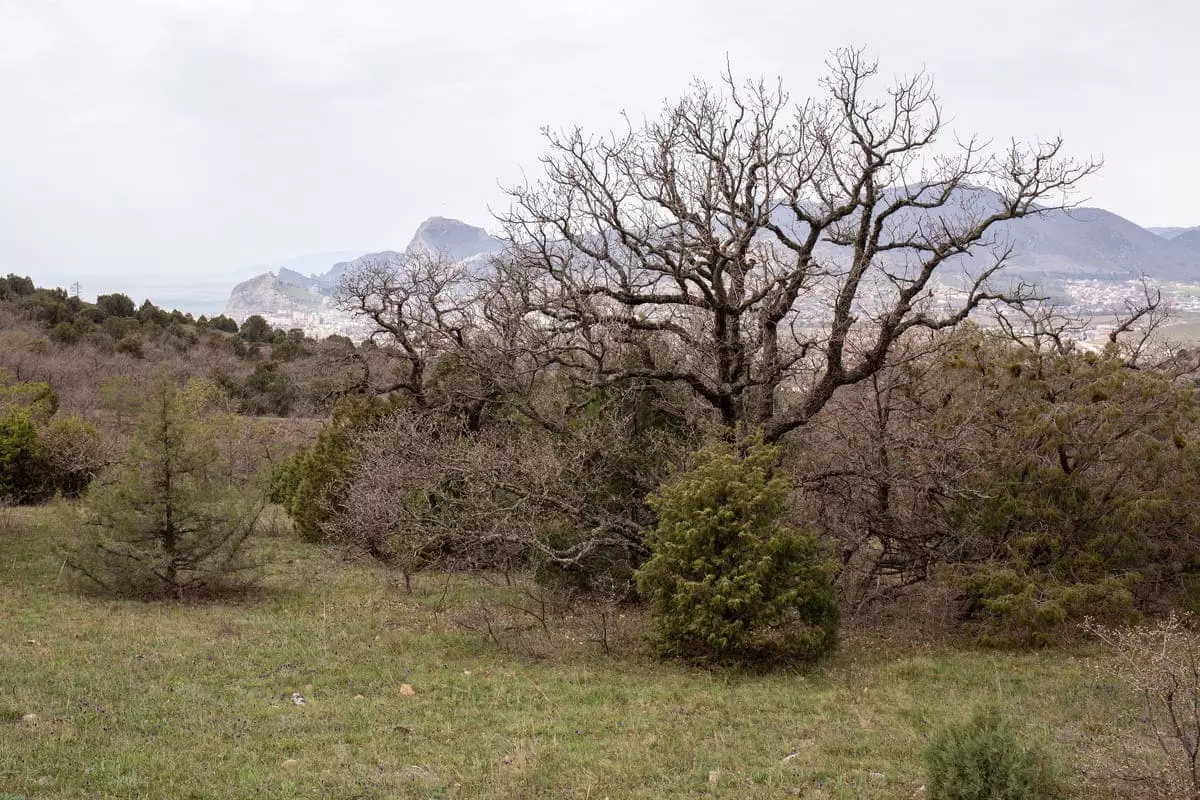 REPORT: March through the eastern Crimea on April 15-19, 2022 along the route Feodosia - NovyI Svet - My, Hike, Travel across Russia, Travels, The mountains, Crimea, Tent, Туристы, Tourism, Mountain tourism, Vacation, Black Sea, Longpost, The photo, Video, Youtube