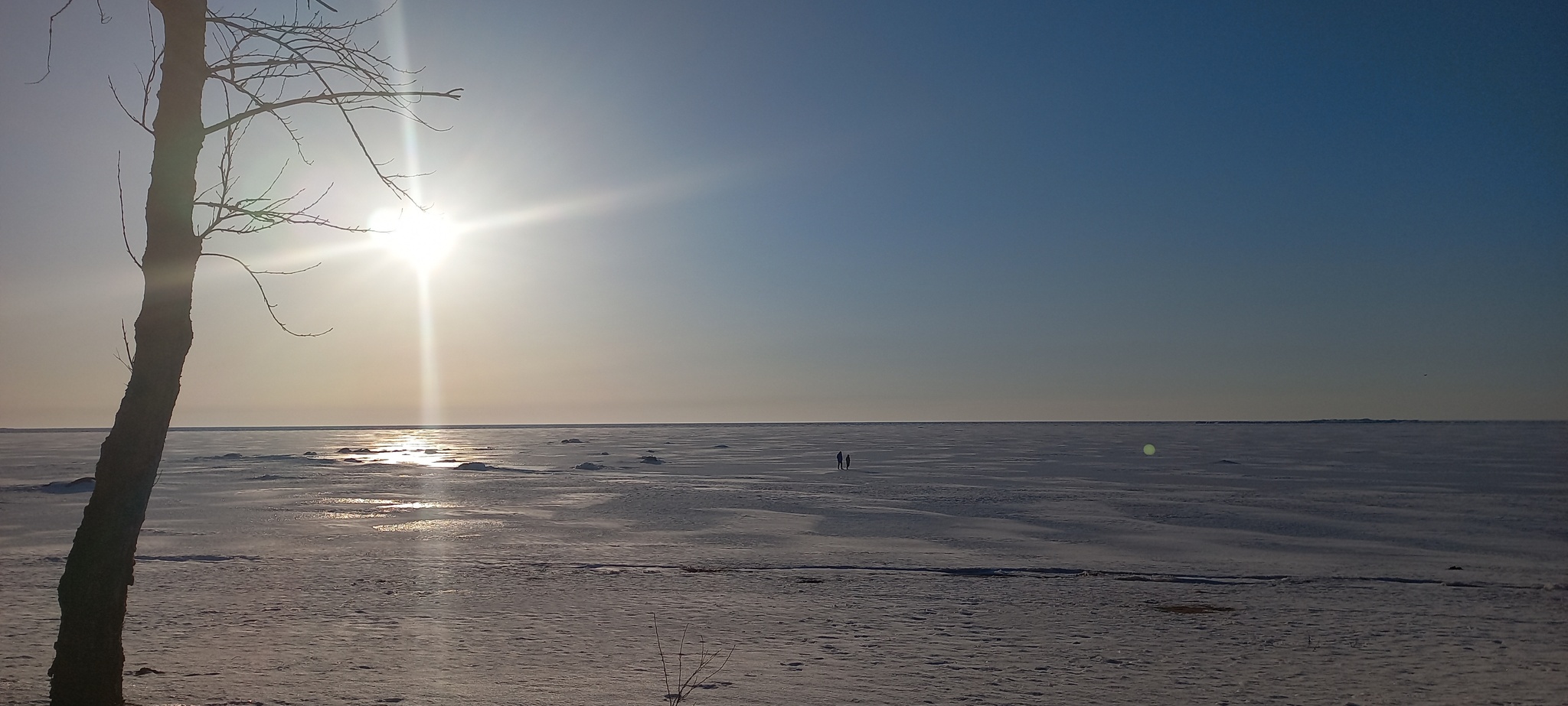 - Why do you love the Gulf of Finland so much? - You'll Just Look and Get It - My, Mobile photography, Leningrad region, Pinery, The Gulf of Finland, Sunset, Longpost