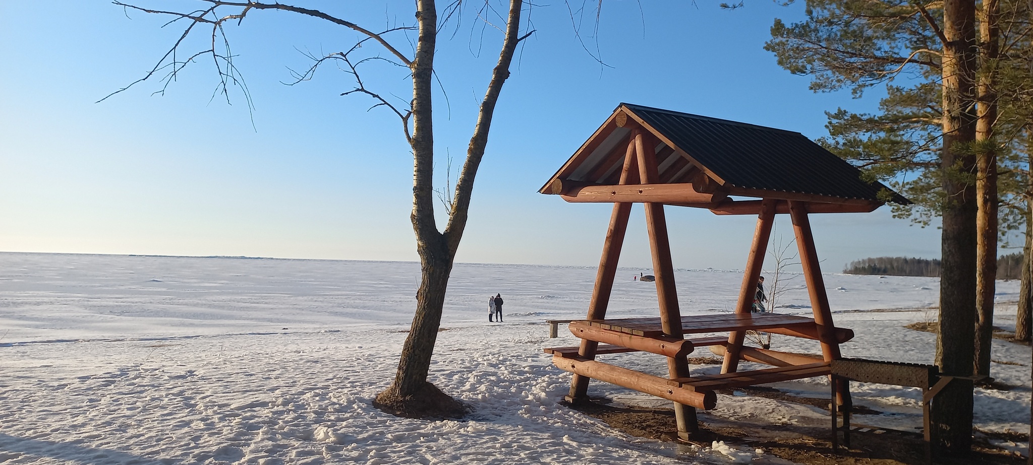 - Why do you love the Gulf of Finland so much? - You'll Just Look and Get It - My, Mobile photography, Leningrad region, Pinery, The Gulf of Finland, Sunset, Longpost