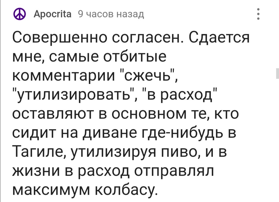 А ты знаешь, где родина велосипеда? - Политика, Комментарии на Пикабу, Тагил, Скриншот