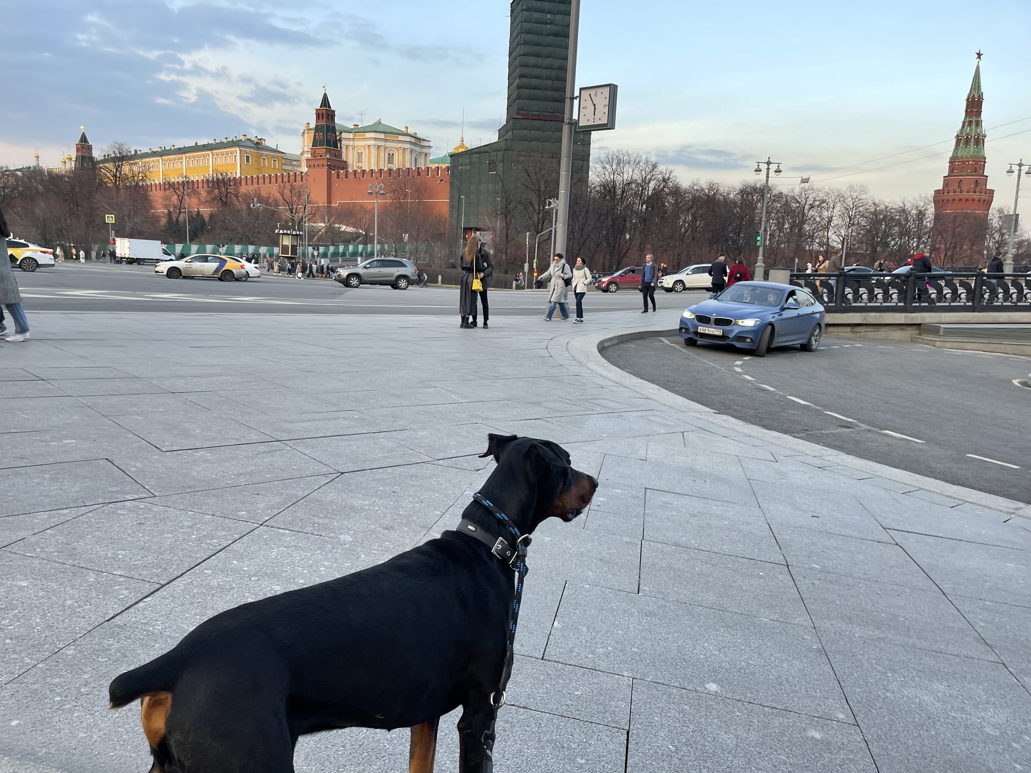 Деревня в центре) - Моё, Москва, Кремль, Собака, Доберман, Прогулка, Длиннопост