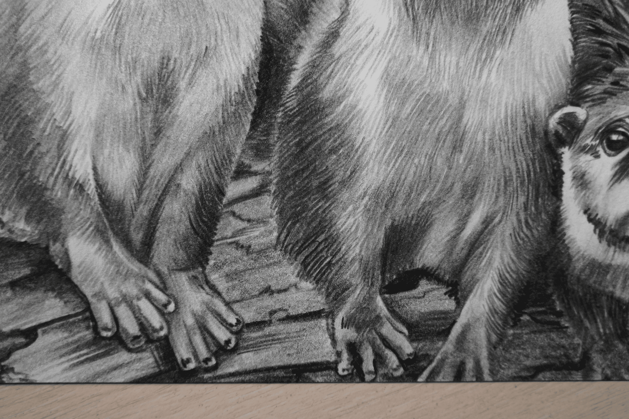 Otters pencil - My, Creation, Painting, Drawing, Otter, Nature, Animals, Animalistics, Pencil drawing, Longpost