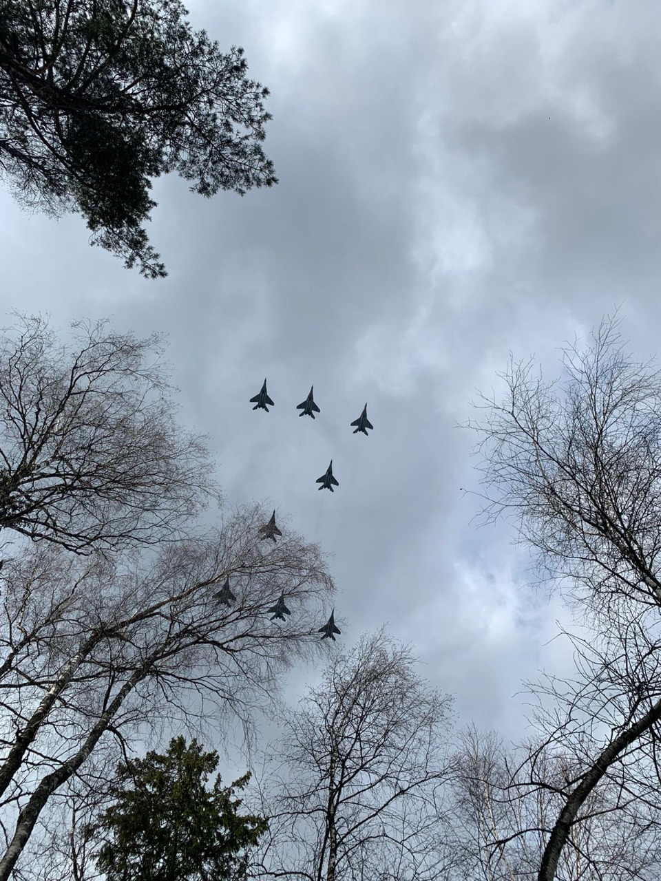 Spring. The rooks have arrived... - My, May 9 - Victory Day, Airplane