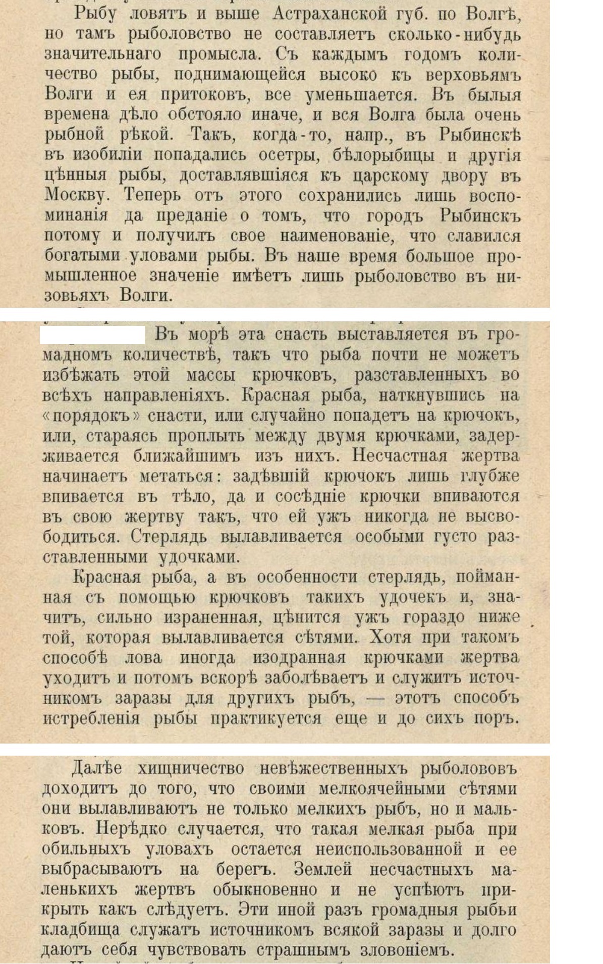 Fishing in the Russian Empire - Politics, Negative, Economy, A crisis, A fish, Fishing, Российская империя, Decline, Ecology, Environmental pollution, Longpost