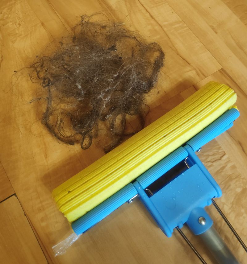 Cleaning the carpet with a mop with a polymer roller, or - what hides the pile - My, Cleaning, Carpet, Hair, Mop, Everyday life