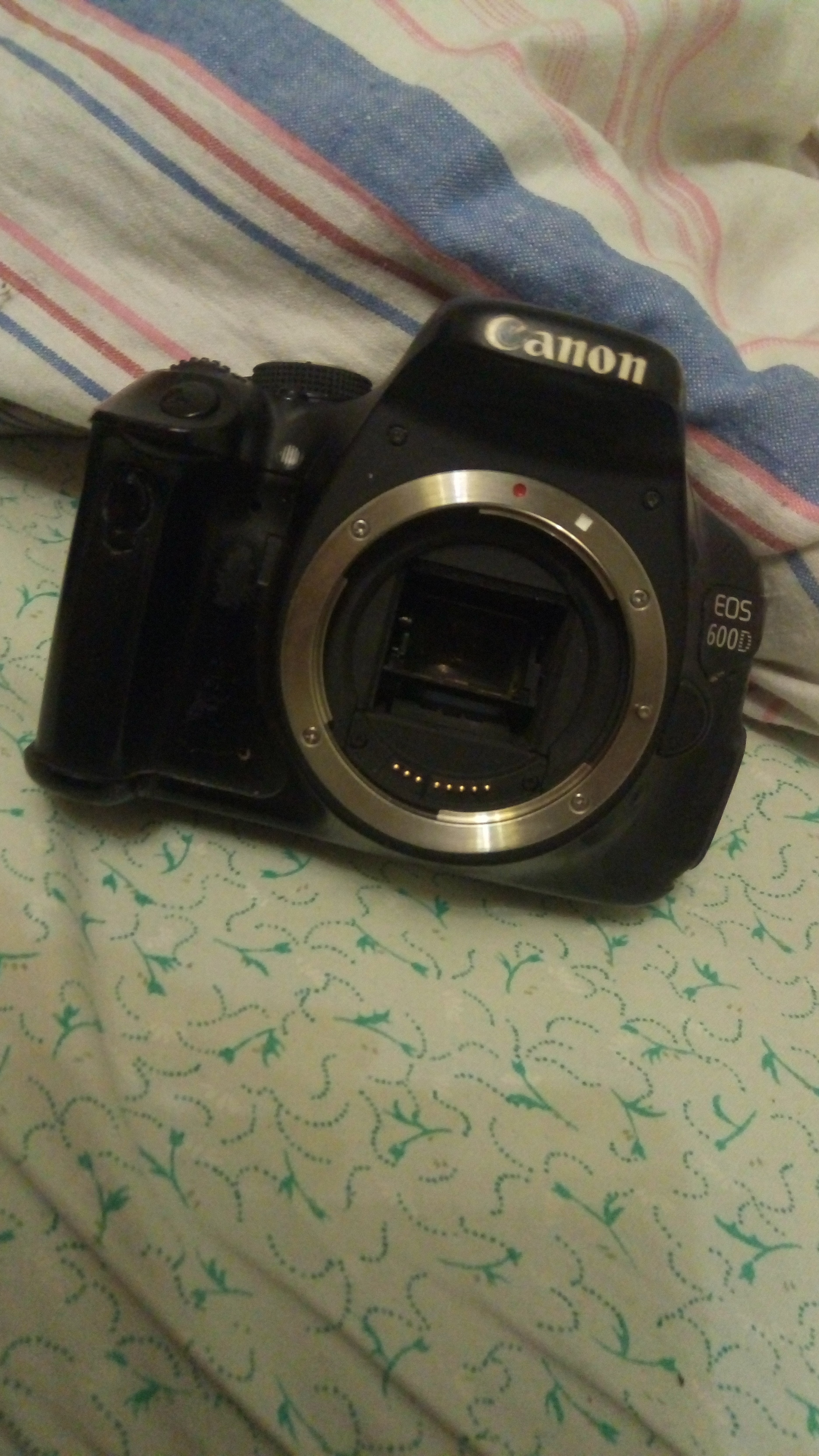 Help a newbie - Reflex camera, Help, Longpost