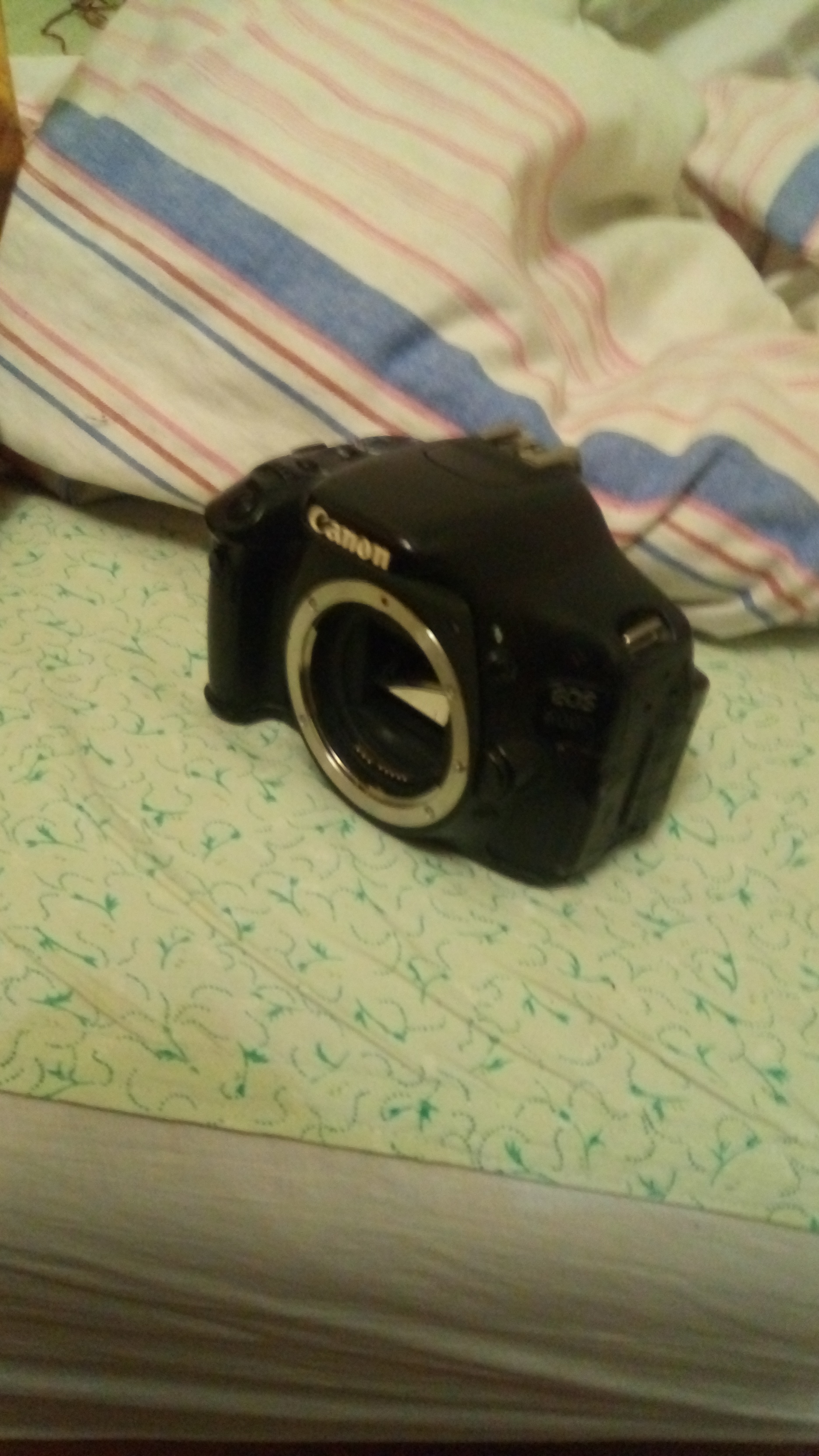 Help a newbie - Reflex camera, Help, Longpost