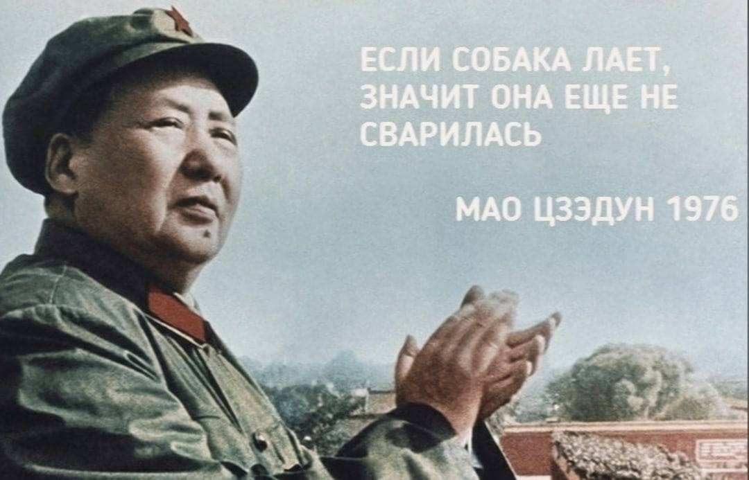 Quotes of great men - Mao zedong, Quotes, Dog, Food, Picture with text, Black humor