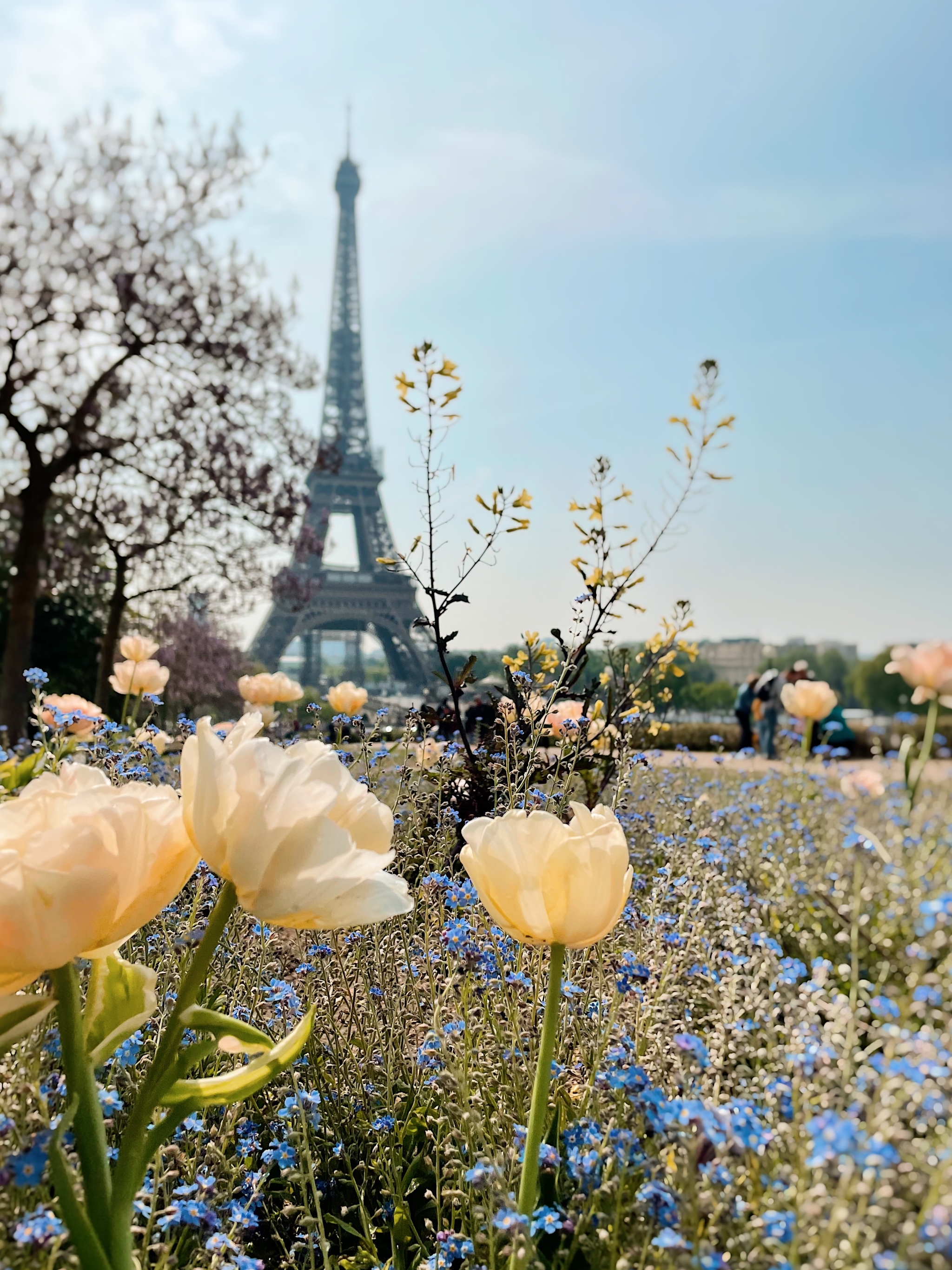Parisian perspectives - My, Mobile photography, iPhone, Paris, Eiffel Tower, Vsco, Longpost