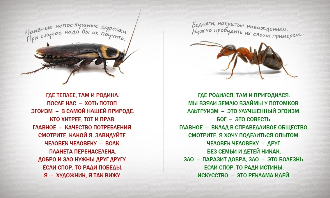 Разные принципы жизни - Политика, Идеология, Культура, СМИ и пресса