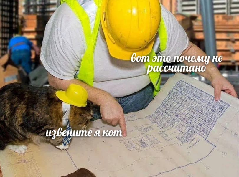 - Are you building houses? - No, we show. - Unreliable - Picture with text, cat, Building, Drawing, Builders, Humor