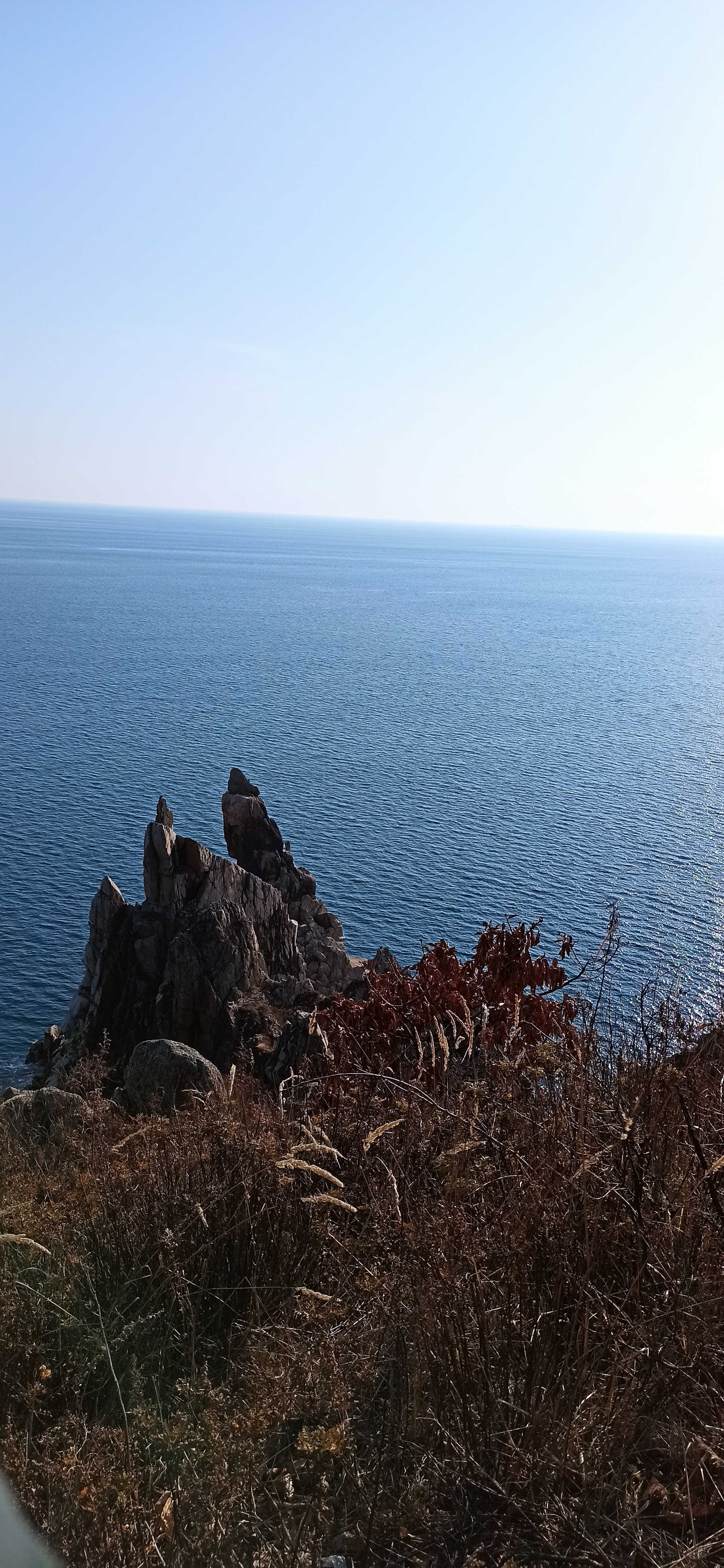 Primorsky Krai, Cape Laplace - My, Primorsky Krai, Дальний Восток, Sea, Rhododendron, Travels, The rocks, Longpost, beauty of nature