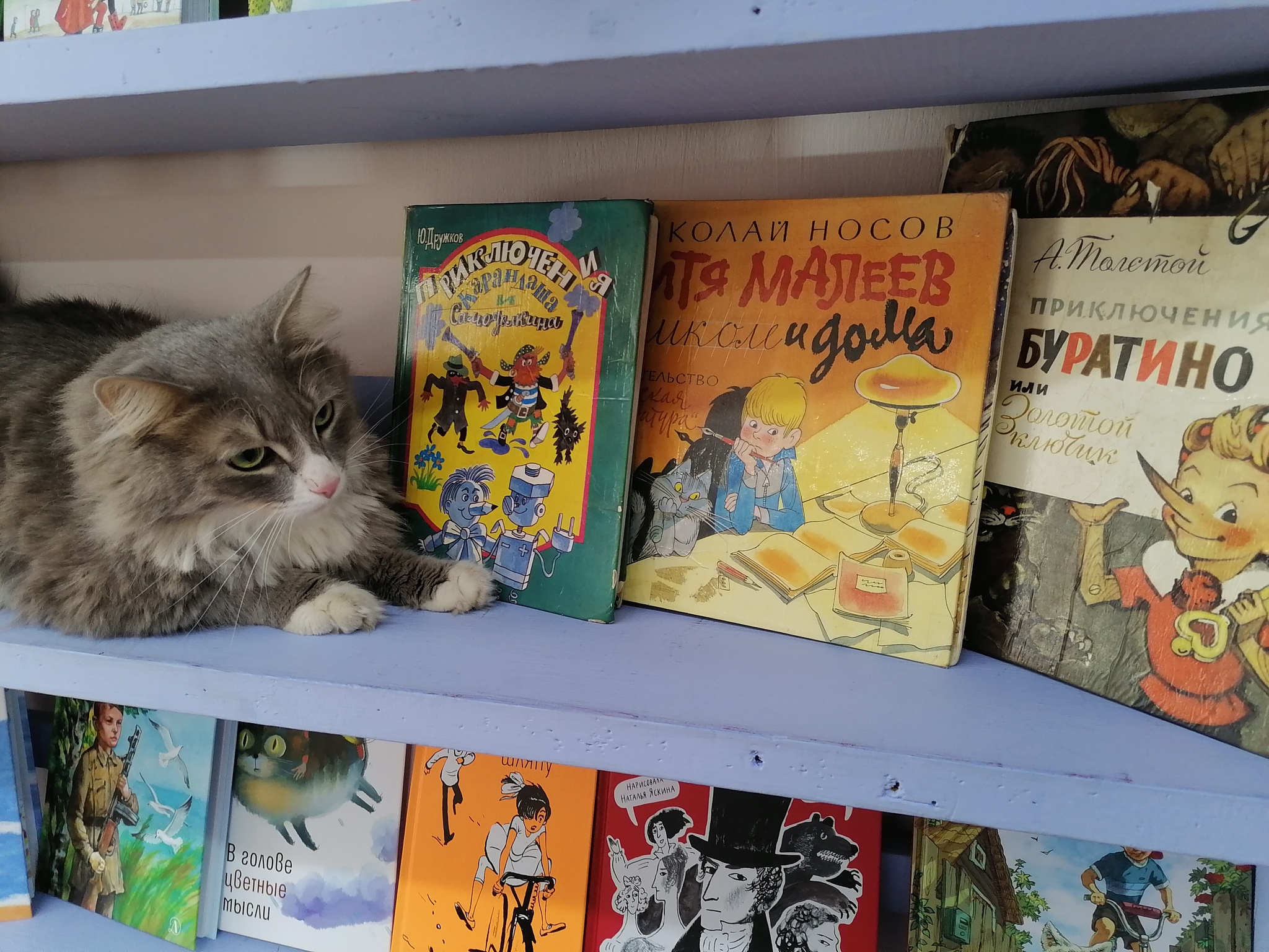 Those same books, or nostalgia post - My, Reading, Books, Writers, Children's literature, Library, cat, Librarian, What to read?, Literature, Book Review, Illustrations, Illustrator, Recommend a book, Longpost