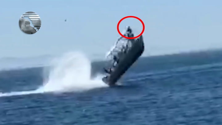 Collision of a boat with tourists and a whale - Whale, Mammals, Wild animals, Marine life, Interesting, Mexico, Туристы, Video, Soundless, Incident