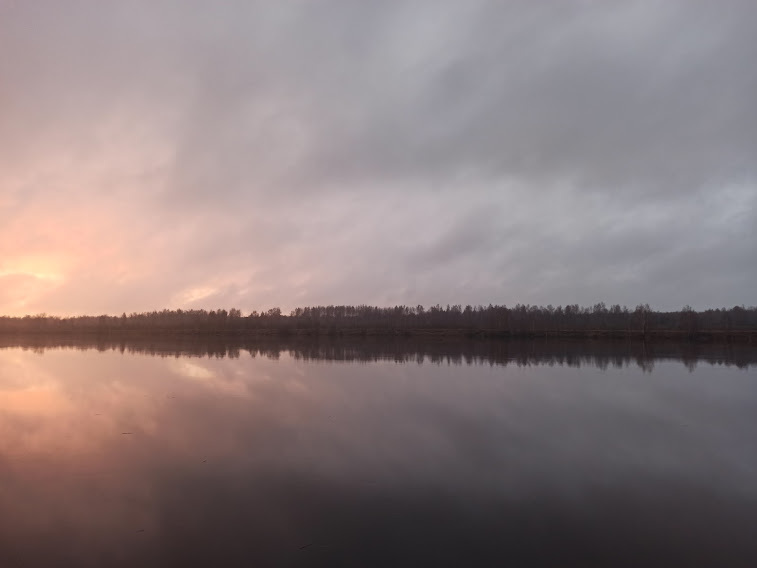 Birch Grove, Tver - My, Garbage, Ecology, Nature, Tver, Longpost