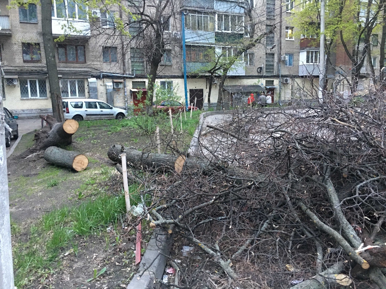 Валежник бесплатный от администрации Воронежа. Центр города - Моё, Валежник, ЖКХ, Благоустройство, Воронеж, Длиннопост