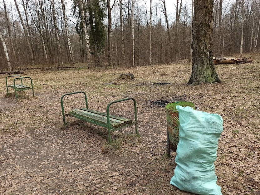 Birch Grove, Tver - My, Garbage, Ecology, Nature, Tver, Longpost