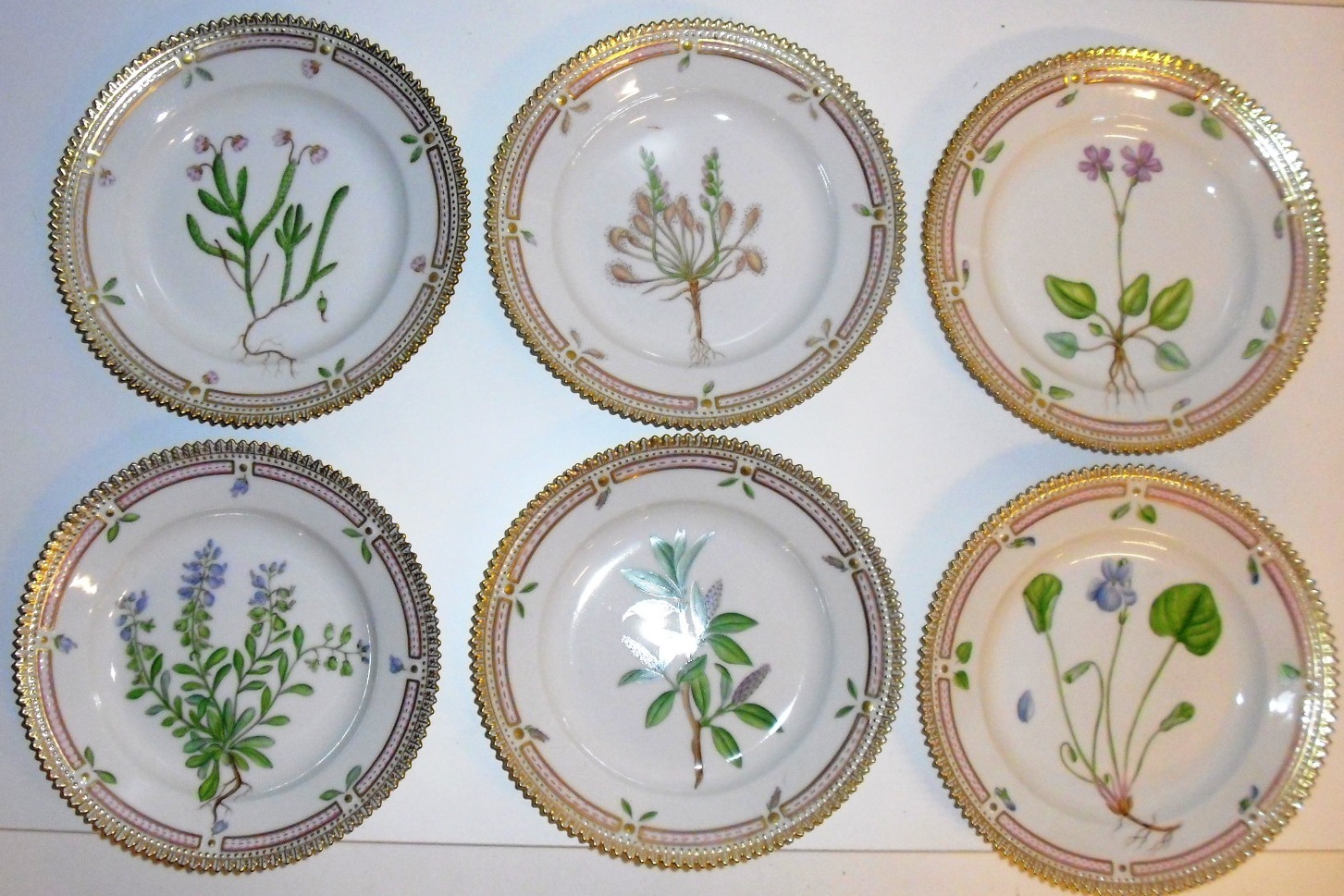 Looking for the manufacturer of tableware according to the description - My, Tableware, Herbarium, Plate, Help, Search, The strength of the Peekaboo, Looking for a manufacturer