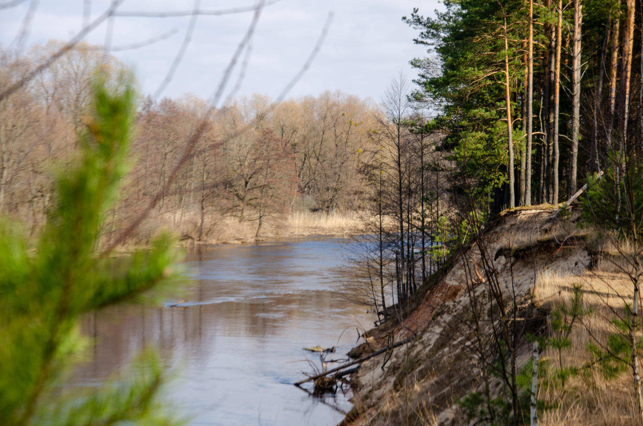 Spring - The photo, Republic of Belarus, Photographer, River, Nikon, Spring