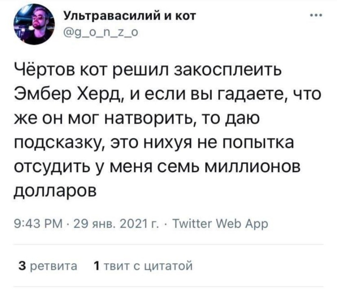 Косплей - Эмбер Хёрд, Кот, Скриншот, Twitter, Мат