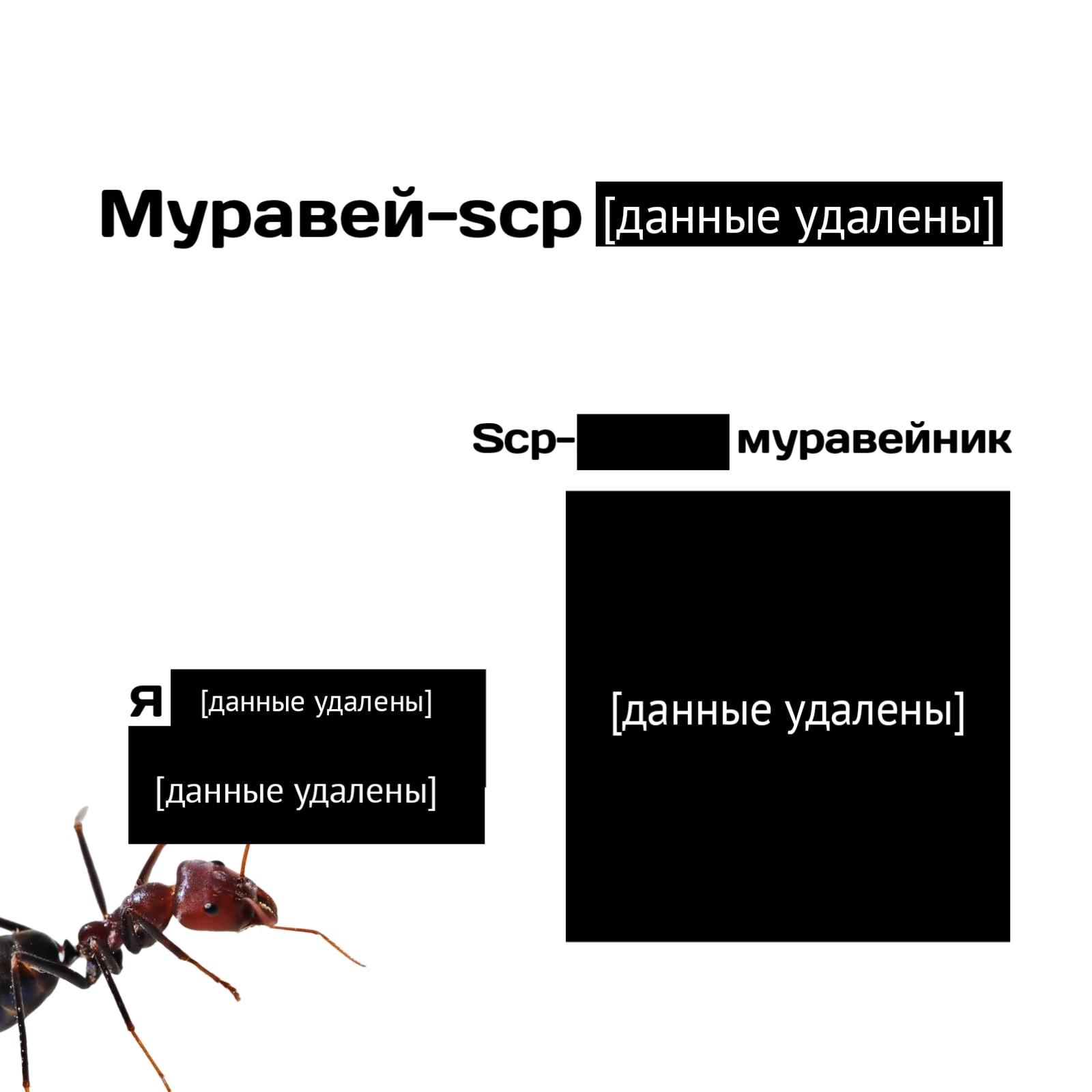 Муравьи и муравейники, в которых они обитают | Пикабу