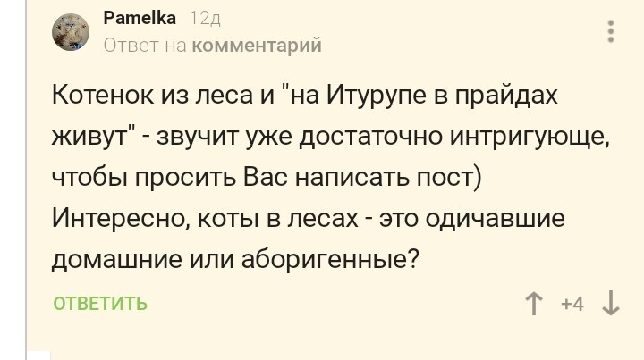 Просто интересная история про кота, рассказанная в комментариях - Без рейтинга, Курильский бобтейл, Кот, Скриншот, Комментарии на Пикабу, Длиннопост