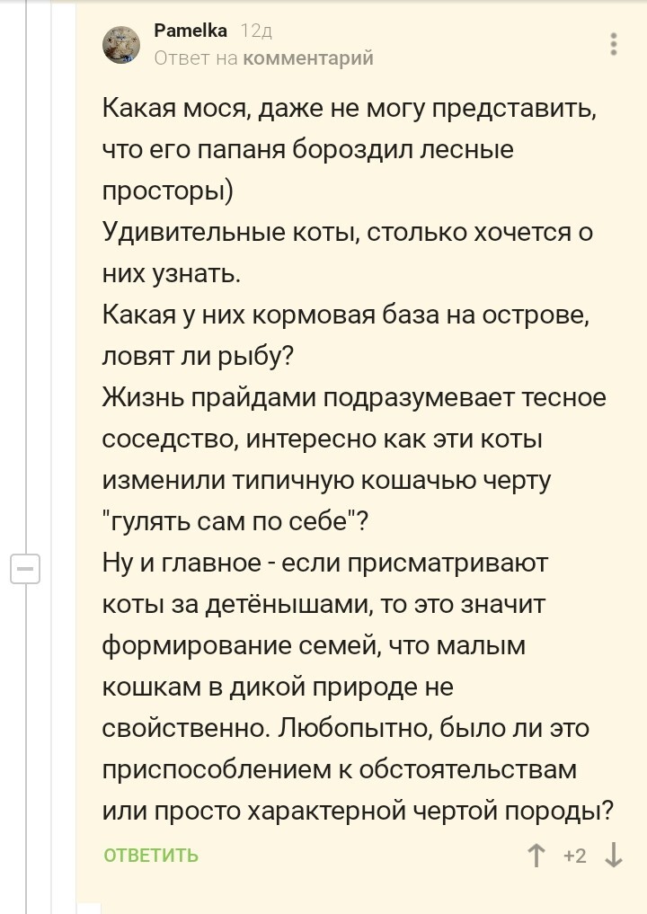 Просто интересная история про кота, рассказанная в комментариях - Без рейтинга, Курильский бобтейл, Кот, Скриншот, Комментарии на Пикабу, Длиннопост