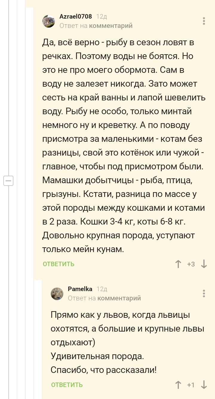 Просто интересная история про кота, рассказанная в комментариях - Без рейтинга, Курильский бобтейл, Кот, Скриншот, Комментарии на Пикабу, Длиннопост