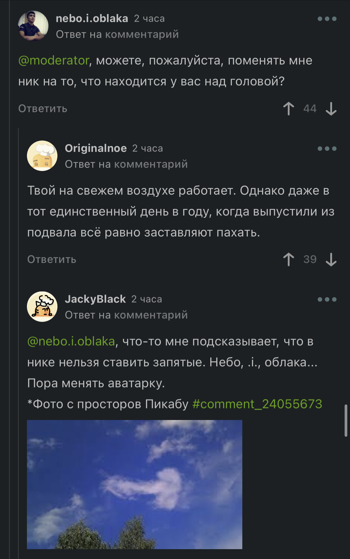 Ответ на пост «Смена никнейма» - Пикабу, Ник, Комментарии на Пикабу, Комментарии, Безудержное веселье, Ответ на пост, Длиннопост, Скриншот