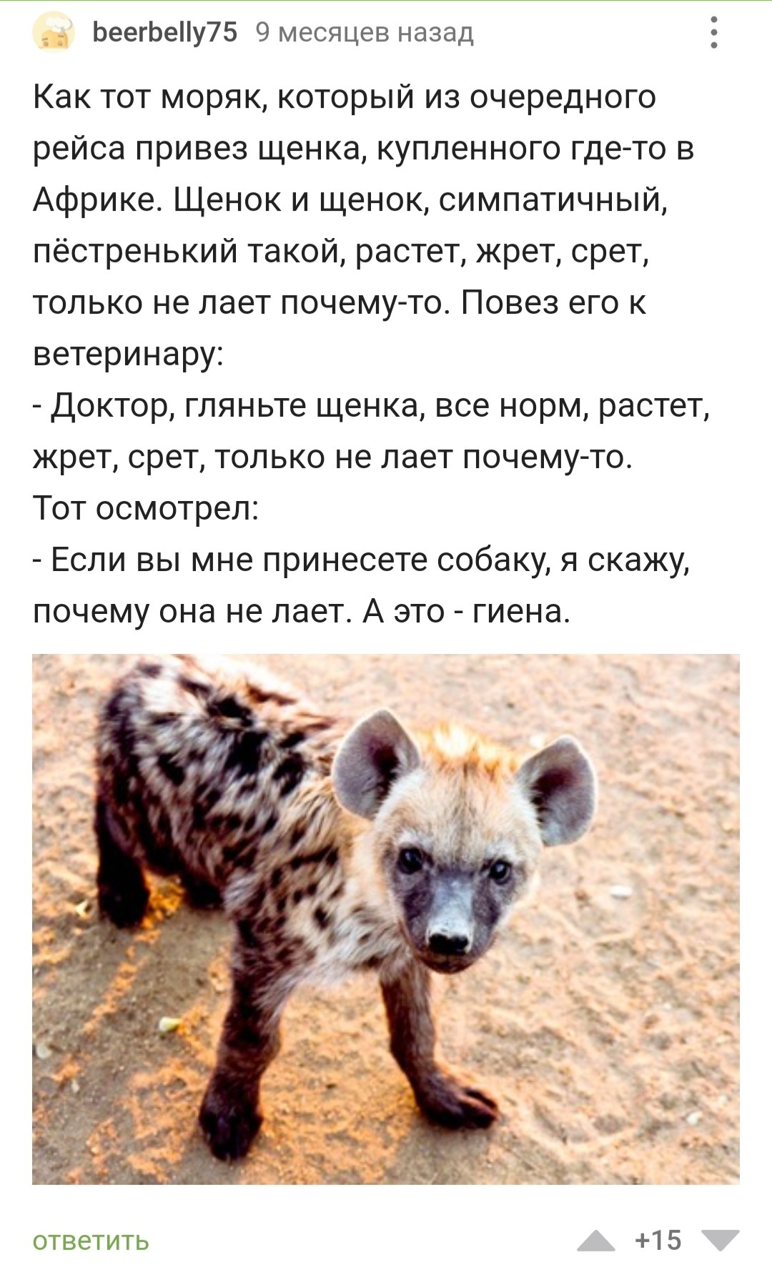 What I can't do, I can't... but my is awesome! - Hyena, Animals, Bike, Spotted Hyena, Humor, Comments on Peekaboo, Screenshot