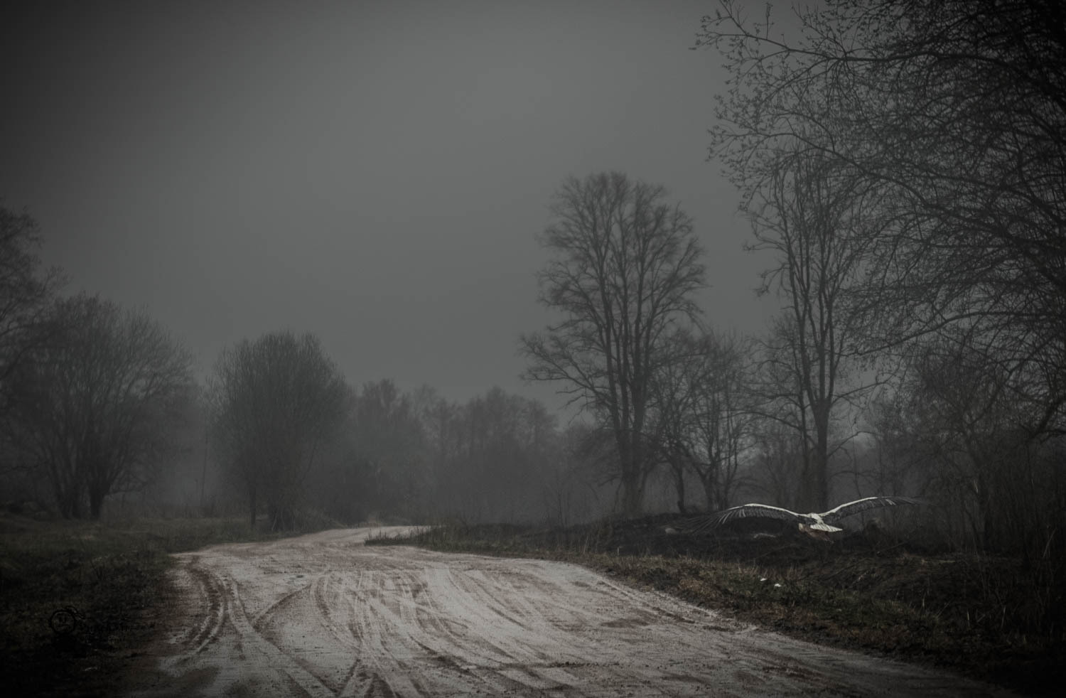 Walk - My, The photo, Nature, Walk, Longpost