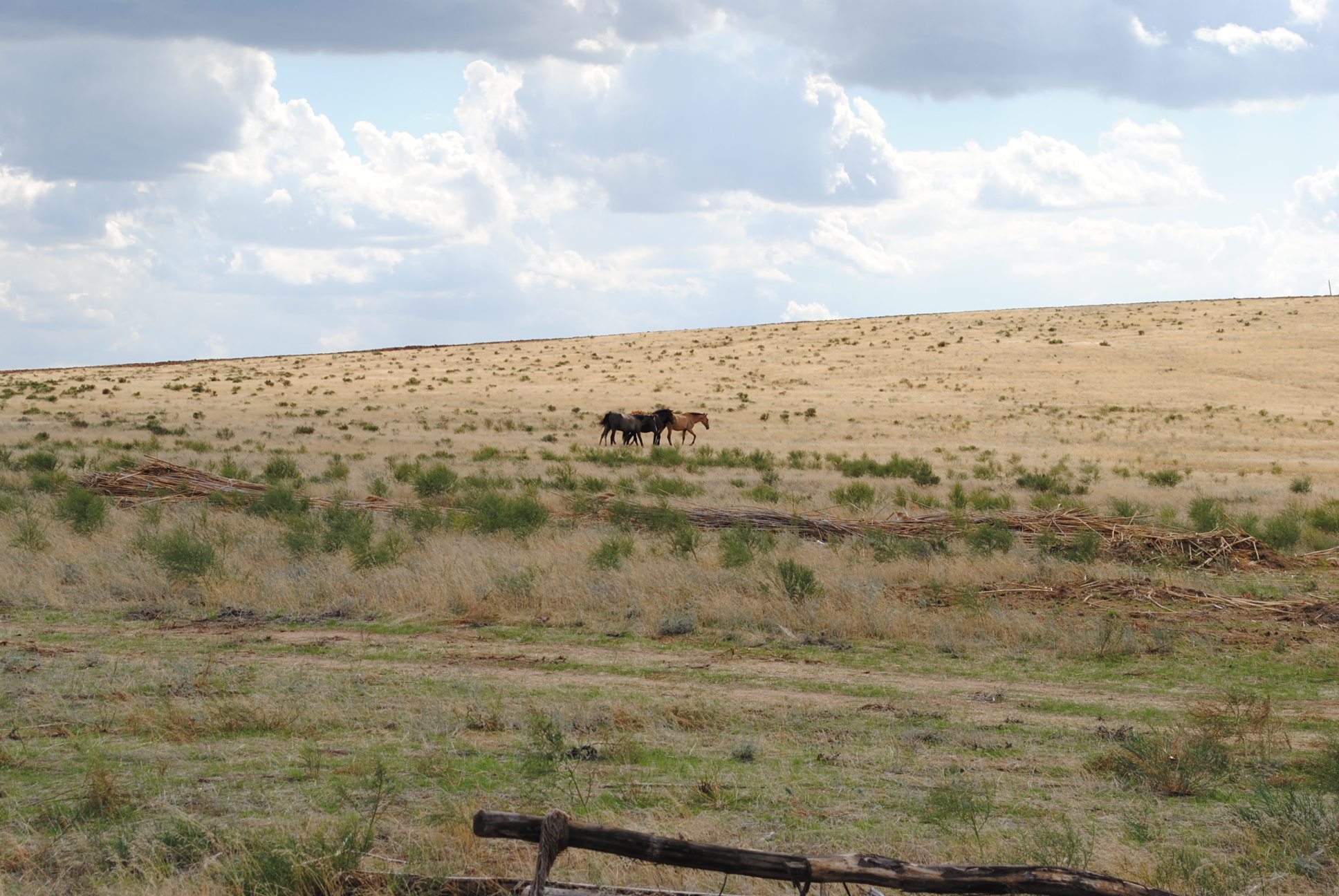 To Astrakhan! part 1 - My, Astrakhan, Travels, Travel across Russia, Video, Youtube, Longpost