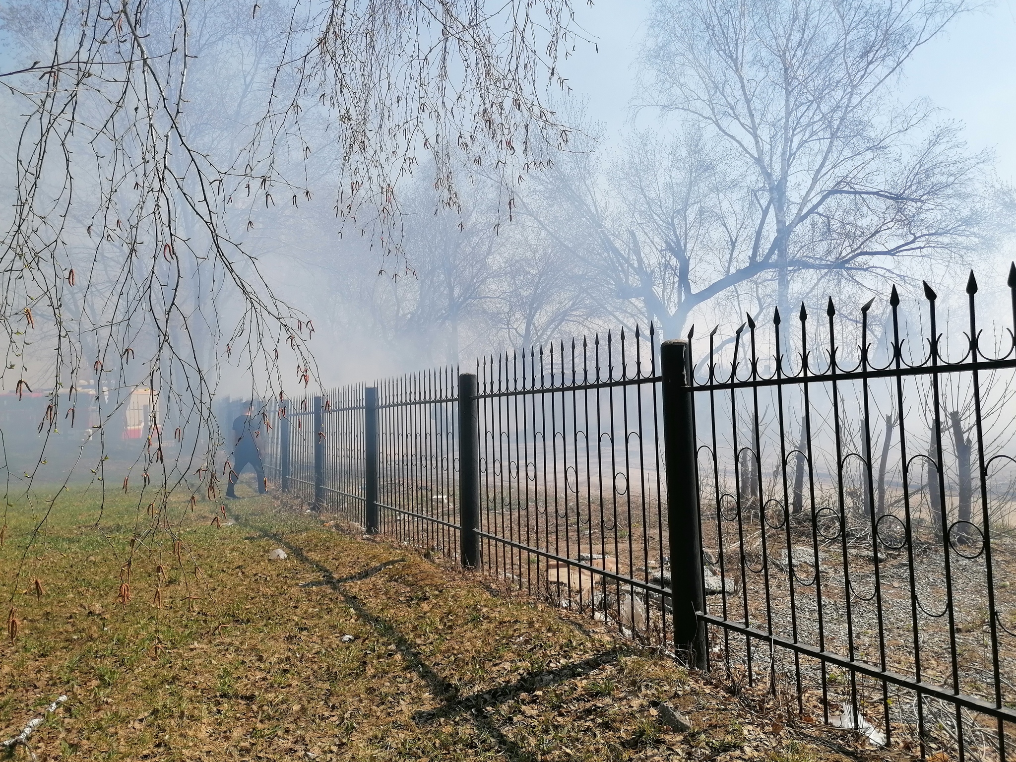 Kids set fire to grass - My, Novosibirsk, Fire, Grass, Garbage, Incident