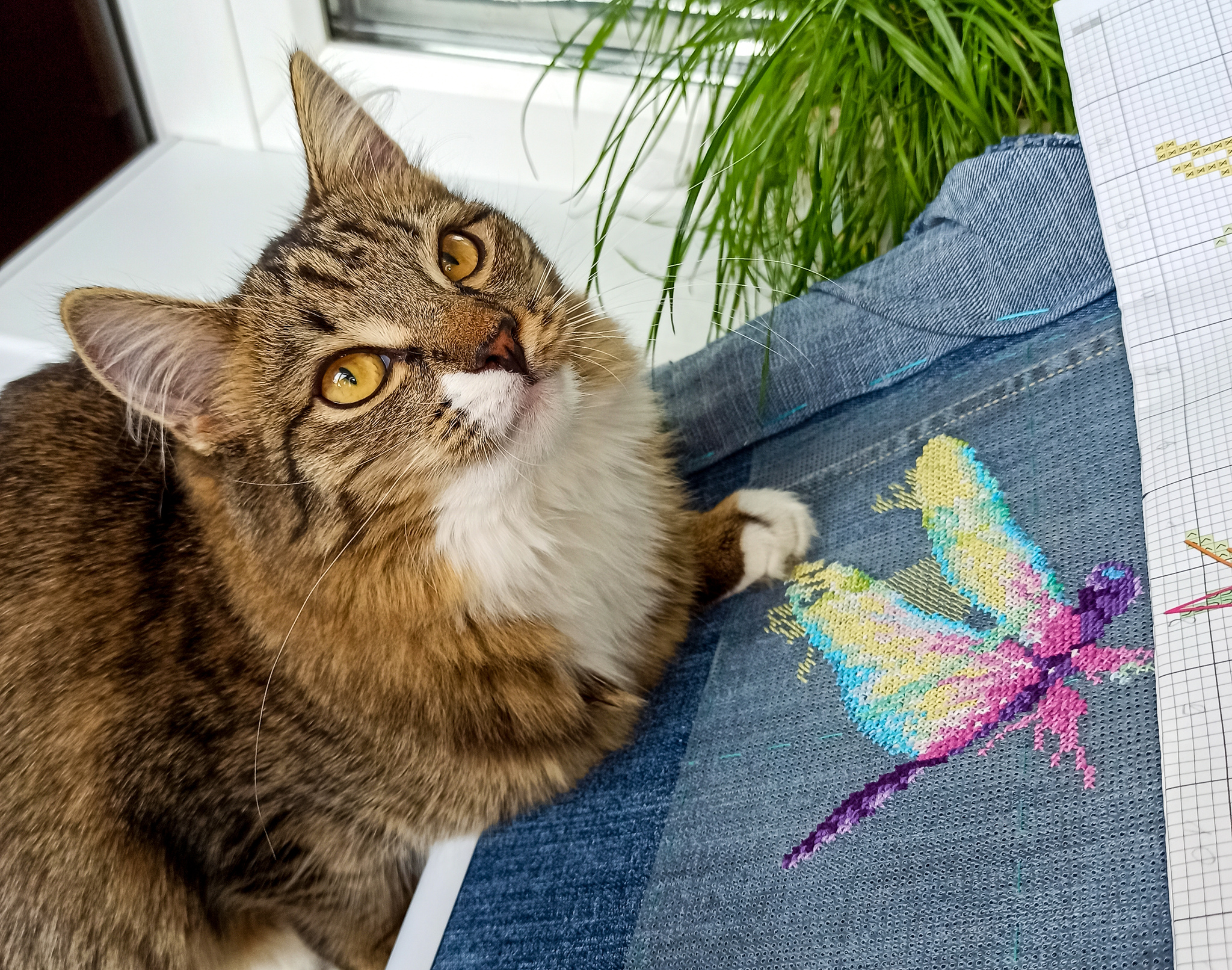 Embroidery on jeans. (Part 2) - My, Needlework, Handmade, Embroidery, Cross-stitch, Hobby, Creation, Art, cat, Dragonfly, Denim, Cloth, Longpost