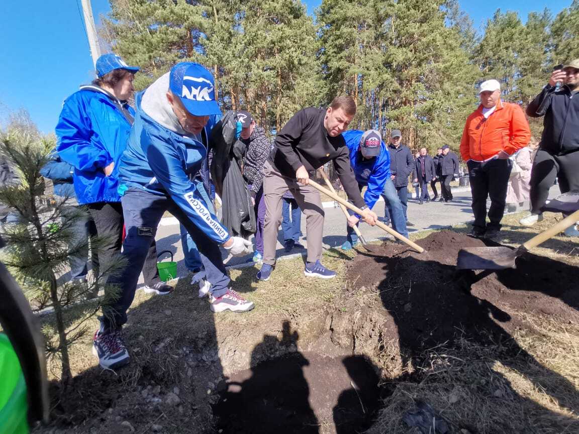 Сенсация!))) Свердловский губернатор Куйвашев копает могилу для Соловьева |  Пикабу