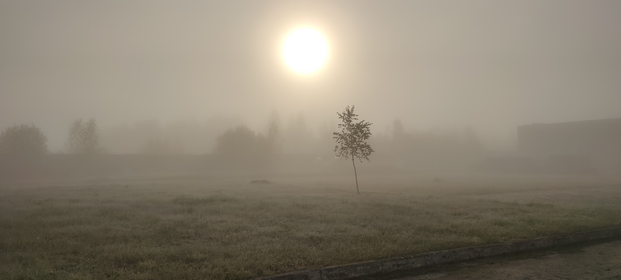 Atmospheric visibility - My, Mobile photography, dawn, Fog